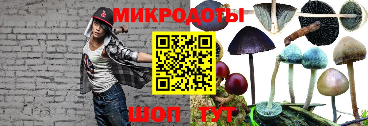 Галлюциногенные грибы мухоморы Выкса